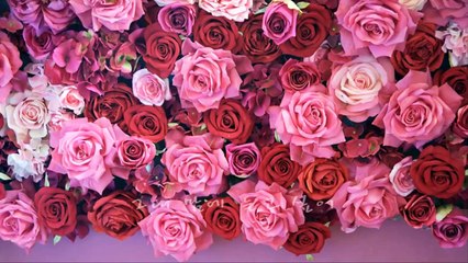 왁스(WAX) Pure Love [HD]