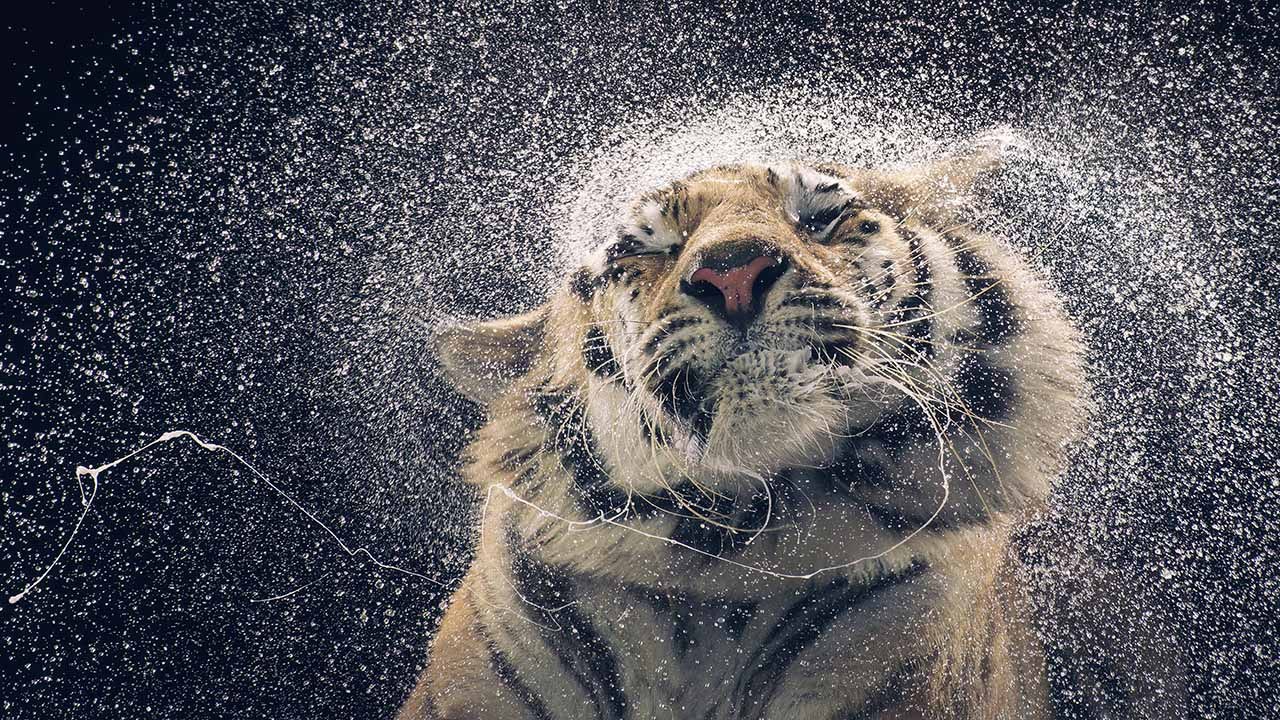 These Photographs Will Blow Your Mind