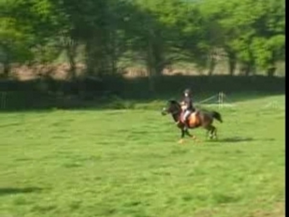 Cross - emule - ifor
