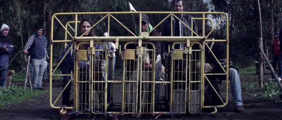 El Club de Pablo Larrain - Bande-annonce