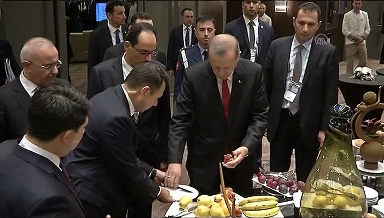 Recep Tayyip Erdogan - Vladimir Putin meeting in Antalya