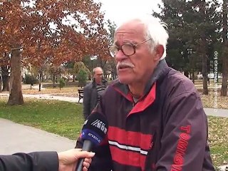 Psi lutalice u opštini Negotin, 16. novembar 2015. (RTV Bor)