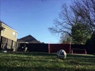Dog Pees on GoPro