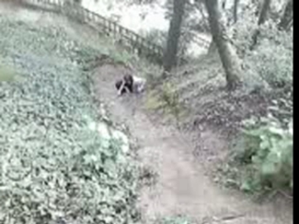 Mica acrobatie
