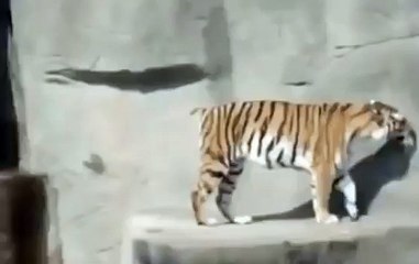 풀싸롱후기~바디천사~논현오피