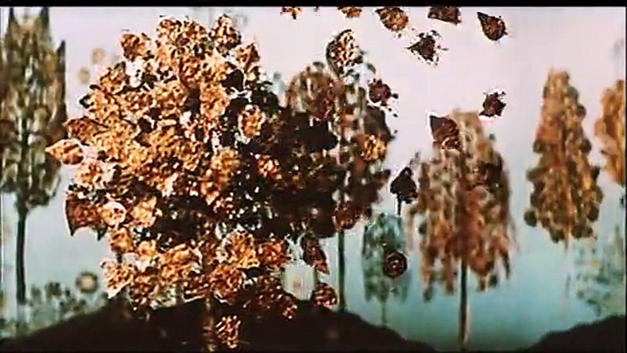 The Seasons