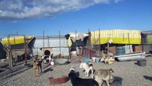 VILLE Shelter