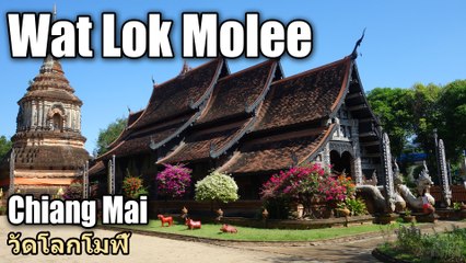 Wat Lok Molee Chiang Mai วัดโลกโมฬี