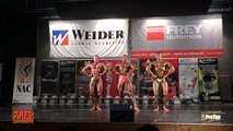 Int. Süddeutsche Meisterschaft NAC 2015 - Body I #Posedown