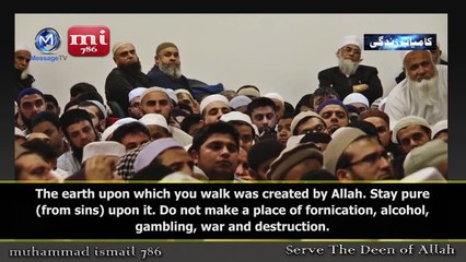 Do As ALLAH Wills (Maulana Tariq Jameel)