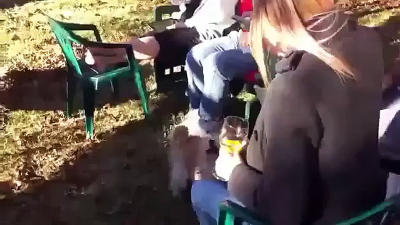 Funny Videos Dog Searches Leave Pile _ Funny Videos 2015_youtube_original