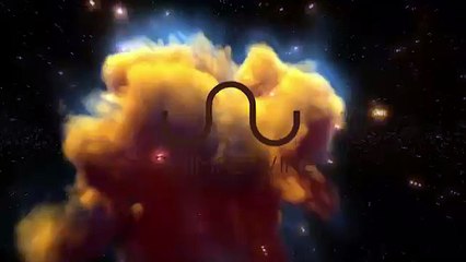 A GIANT SALAMANDER Found At Road In Japan - hdhut.blogspot.com