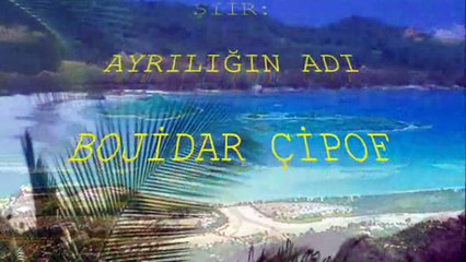 ŞİİR: AYRILIĞIN ADI (BOJİDAR ÇİPOF)