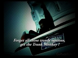 Road rage solution for wimps  the monkey security guard