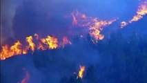 Grandes incêndios florestais espalhados por todo centro de Portugal