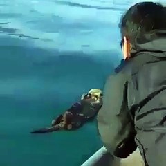 Leave Him Alone Please