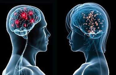 Inventos Extraordinarios - "DENTRO DEL CEREBRO" - NatGeo HD 2015