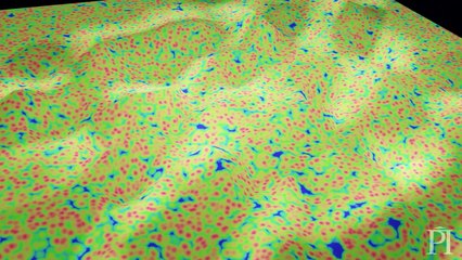 Putting The Multiverse To The Test