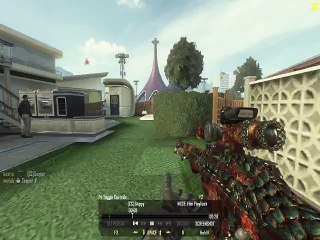 Black Ops 2 wallbang with XPR