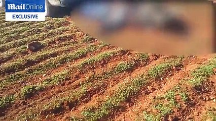 Paris attacks mastermind drags pile of bodies behind truck