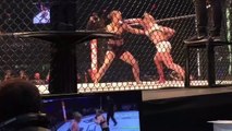Ronda Rousey Gets Knocked Out