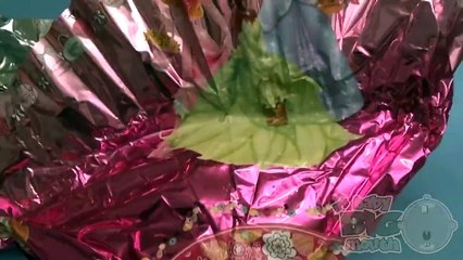 Disney Princess Surprise Egg Opening Party! With a HUGE GIANT JUMBO Surprise Egg!