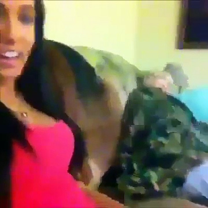Most Funniest Moments 2015 video