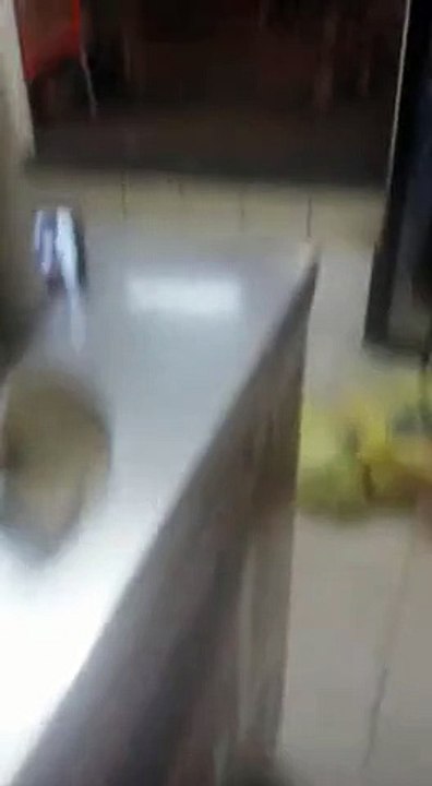 bomba