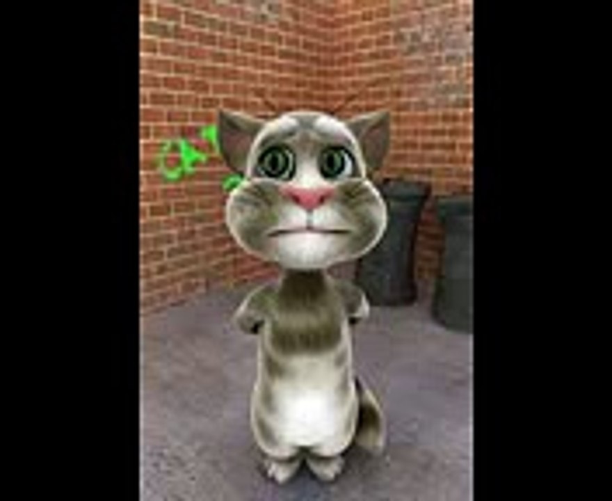 (dabangg cat)