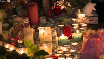 World shows solidarity after Paris Attacks