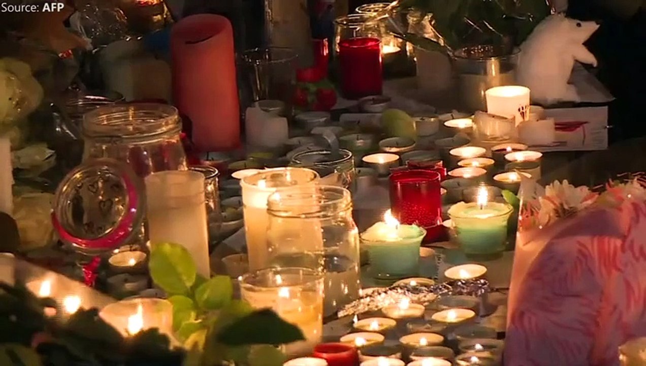World shows solidarity after Paris Attacks