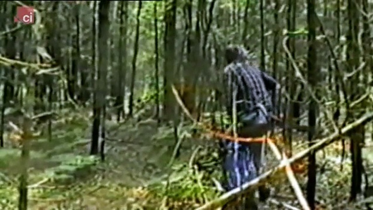 Crime Stories Lost In The Woods & FULL EPISODE
