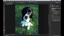 Photoshop CS6 tutorial for beginners - Adobe photoshop CS6 tutorial_clip10