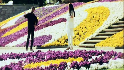 Tum Dil Ke Dhadkan Ho