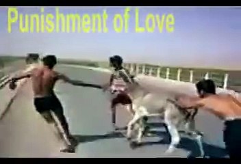 funny clip - Tune.pk