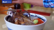 Видео поедания супа с кальмаром /Squid served up in japanese dish appears to come back to life