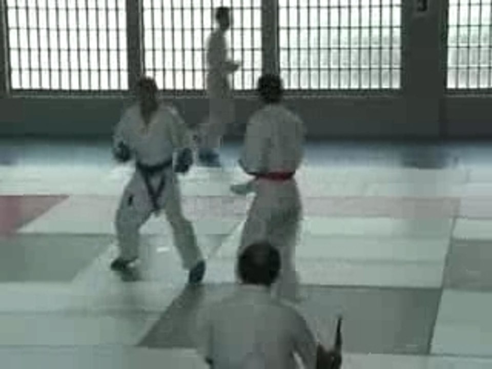 karate Stephan best of cup france 2007