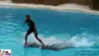 New Amazing Dolphin Show Must See