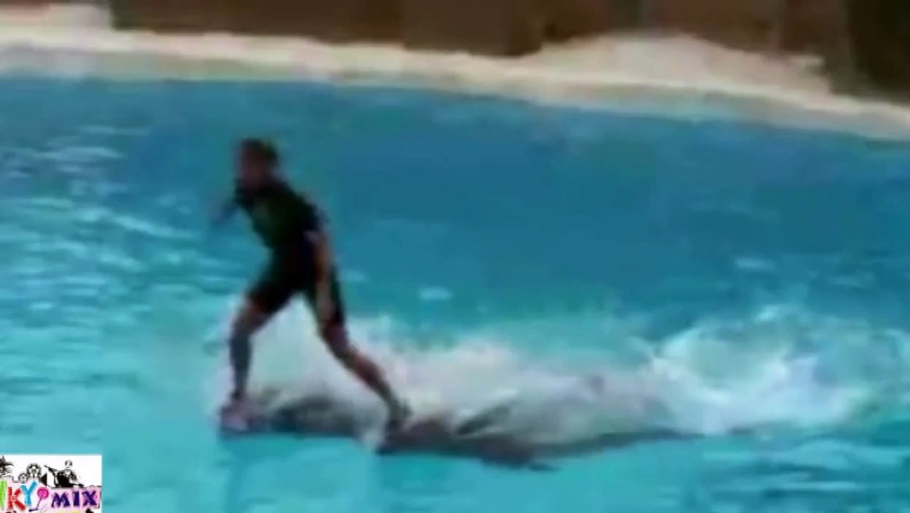 New Amazing Dolphin Show Must See