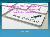Listing the Advantages of Buying State Targeted Website Visitors