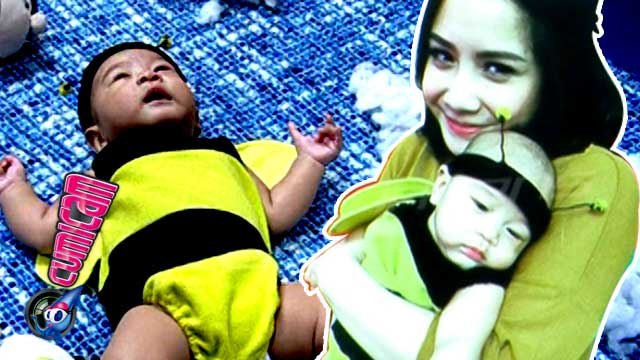 Rafathar 'Si Bayi Lebah' - Cumicam 17 November 2015