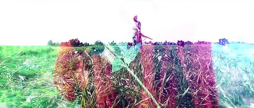 Popular Kurdish languages & Şivan Perwer videos