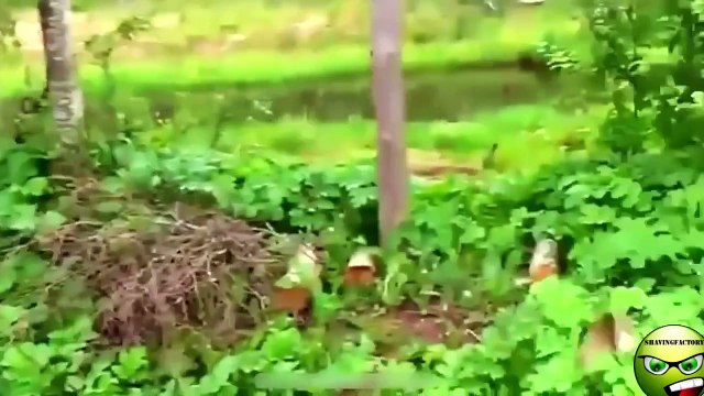 Неудачи людей. Смешно до слез