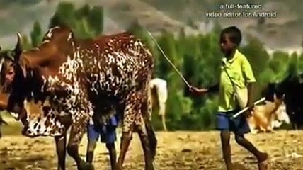 Ethiopia Amharic poem by Mulualem Tegegnwork (Dr.): Keteménet / ከተሜነት