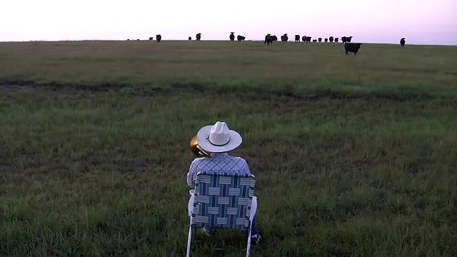 this man calls his cattles with trombone