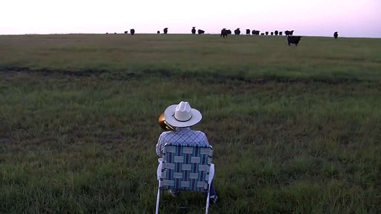 this man calls his cattles with trombone