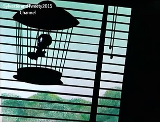 Sylvester and Tweety in BIRDS ANONYMOUS Part 3