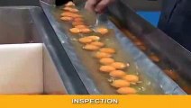 Egg Breaking and Separation  in a single line EGG BREAKING MACHINE