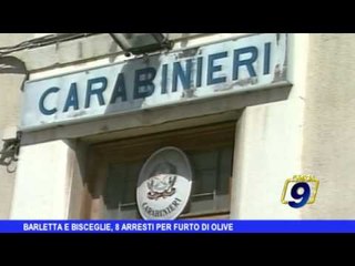 Barletta e Bisceglie | 8 arresti per furto d'olive