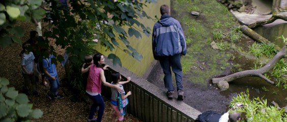 Les Amitiés invisibles de Christoph Hochhausler - Bande-annonce